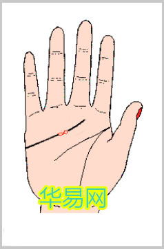 手相姻缘(手相姻缘线有两根)
