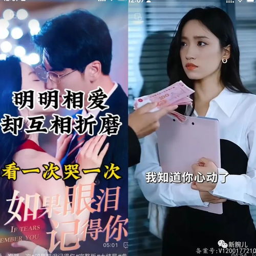 系统逼我说爱你热播短剧