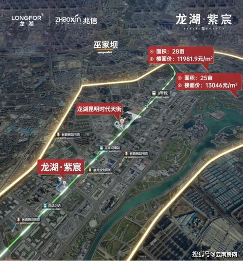 大美热播短剧免费观看（大美是什么电影的主角）