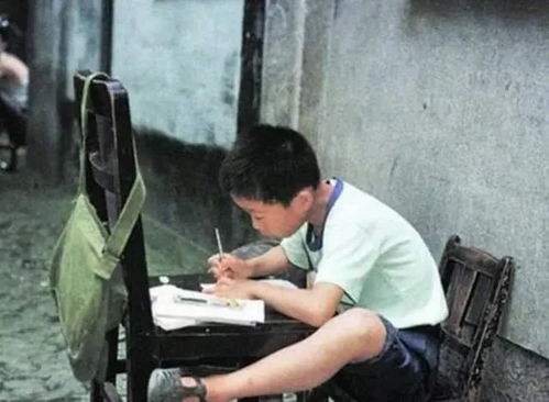 热播短剧净身出户后我杀疯了【净身出户不可怕】