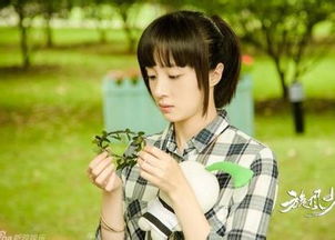 少女热播短剧推荐大全集，少女电视