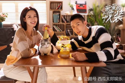 顾泽热播短剧大全集：顾什么泽总裁的电视剧