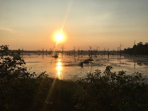 热播短剧大夏剑主 - 大夏王朝 铸剑池