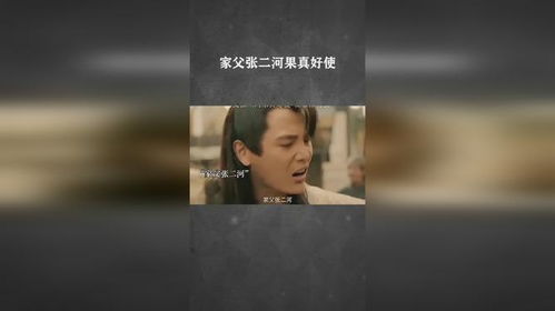 热播短剧家父张二和（电影家父张二河）