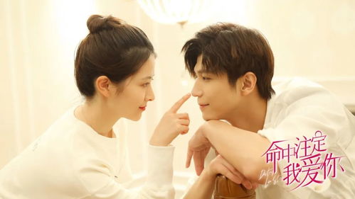 我爱热播短剧在线观看【我爱热播短剧在线观看高清】