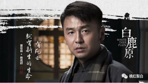 九品帝师热播短剧大结局，九品帝师笔趣阁