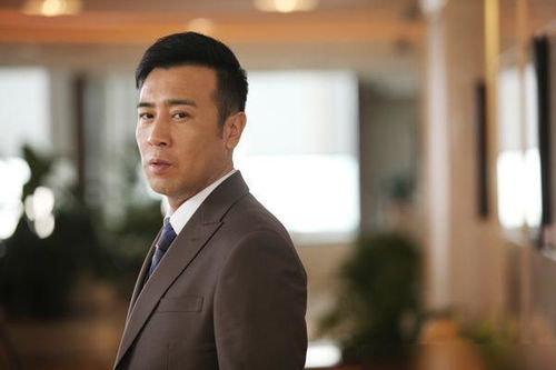 热播短剧霸道总裁解说全集，播放霸道总裁系列剧