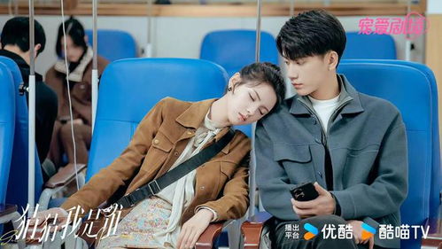 热播短剧王子奇在线观看：王子奇主演的电视剧有哪些