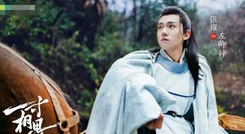 热播短剧推荐高甜古装剧，比较短且甜又小众的古装剧