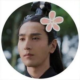 热播爽文短剧有哪些 - 爽文电视剧有哪些