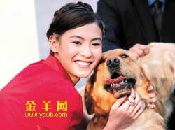 热播短剧《声色犬马》剧情：声色犬马下一句是什么意思