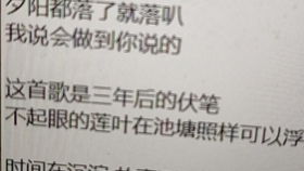 康康热播短剧《化龙》，化龙歌词
