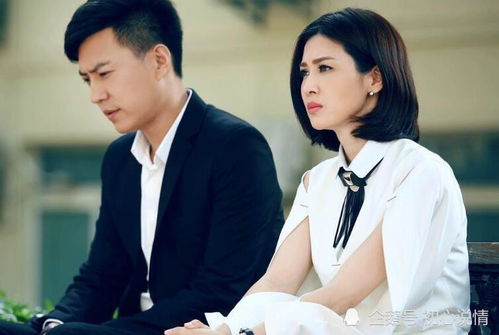 热播短剧拼婚剧情介绍：拼婚是什么