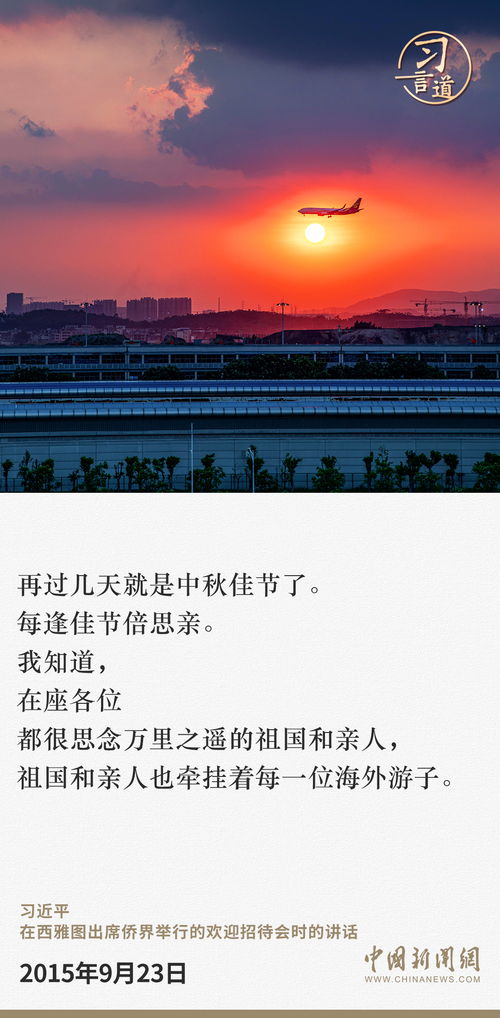 热播短剧月是故乡明45：月是故乡明19集