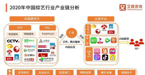 各平台短剧热播类型分析，网络短剧播放量排行榜