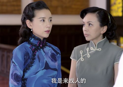 热播短剧城南花正开免费，城南花已开下载免费