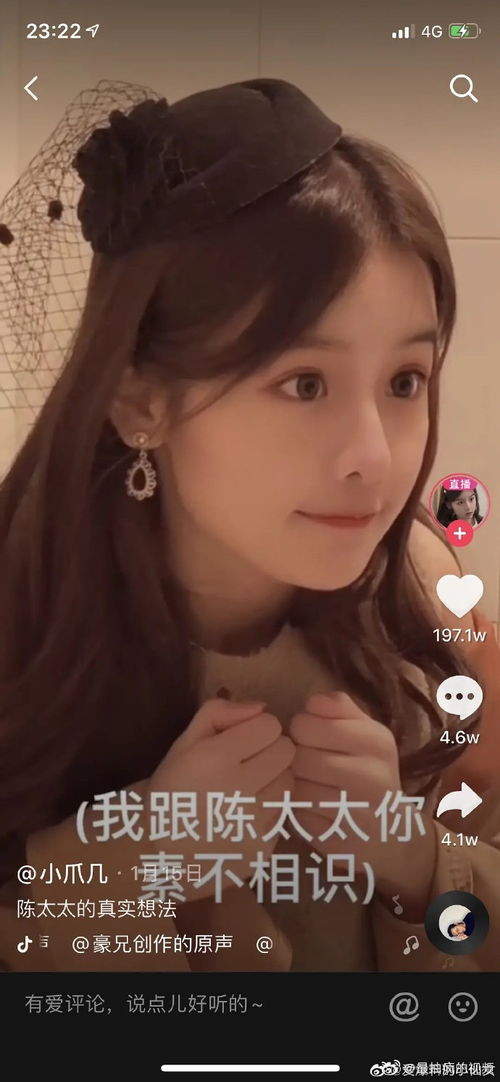 小女人热播短剧推荐大全，小女人热播短剧推荐大全视频