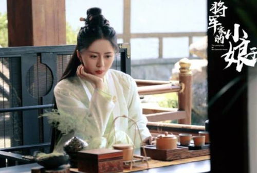 热播短剧逍遥赘婿全集在线观看：逍遥神婿免费