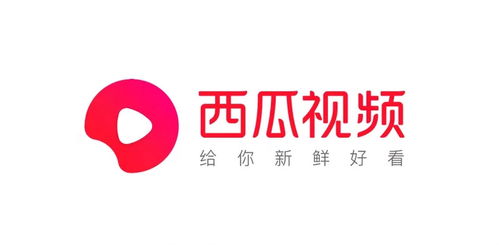 免费观看所有热播短剧的软件【能看短剧的app】