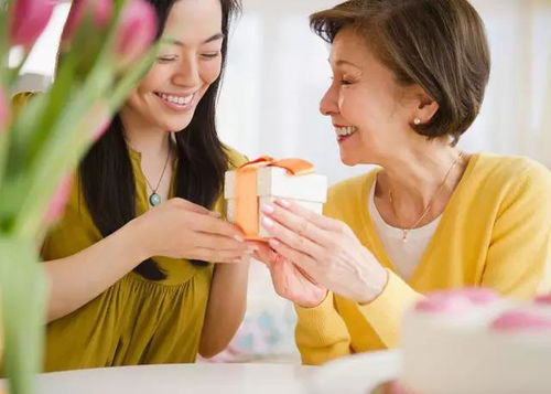 热播短剧婆媳关系好媳妇（关系婆媳的电视剧）