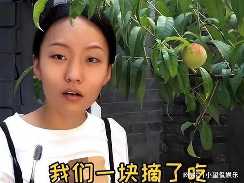 疯姐热播短剧视频大全，疯产姐妹个人资料