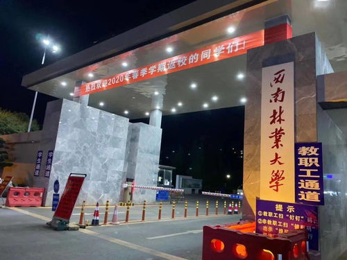 热播短剧万圣龙师53（万圣龙王的真实身份）