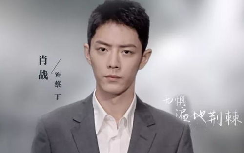 新上映的热播短剧有哪些：新上映的新剧