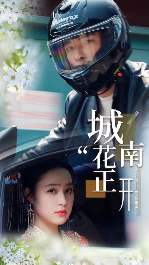 热播短剧推荐城南花已开 - 城南花已开百度百科