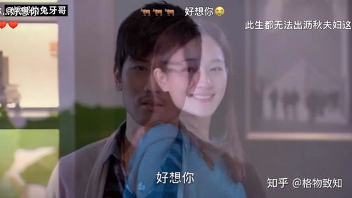 热播短剧痴情男子在线观看（热播短剧痴情男子在线观看视频）