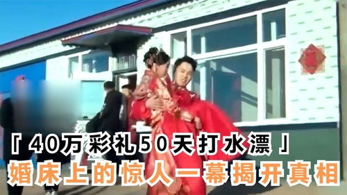 短剧飞龙在天热播【飞龙在天全集40集】