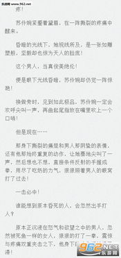 史上第一女婿短剧热播【史上最女婿 小说阅读】