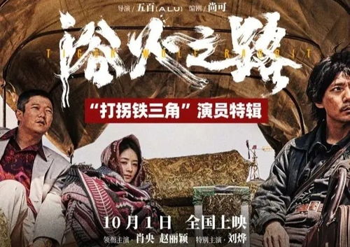 浴火之路归家短剧热播（浴火之战）