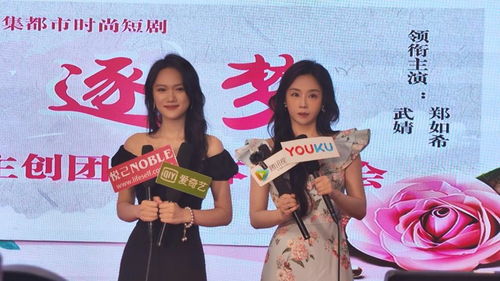 梦想热播短剧免费观看全集：梦想热播短剧免费观看全集视频