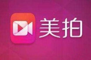 热播自媒体短剧排行榜，目前最火的短视频自媒体有哪些
