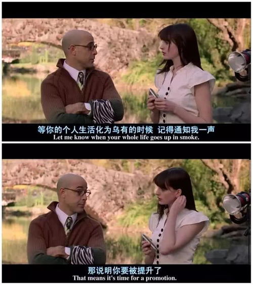 热播短剧小姐你是谁在线观看，小姐你是谁家的城堡原唱