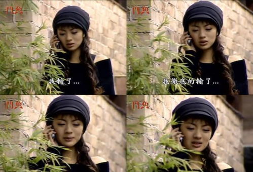 燕归处莫相逢短剧热播（燕归全文）