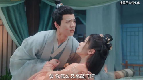 2023热播短剧免费版：短电视剧20集左右