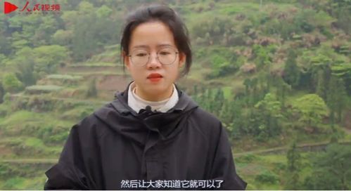 种其因得其果短剧热播，种其因,得其果吾得其果愿种其善也