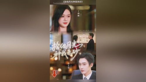 短剧热播精彩不断的电视剧（热播短剧大全）