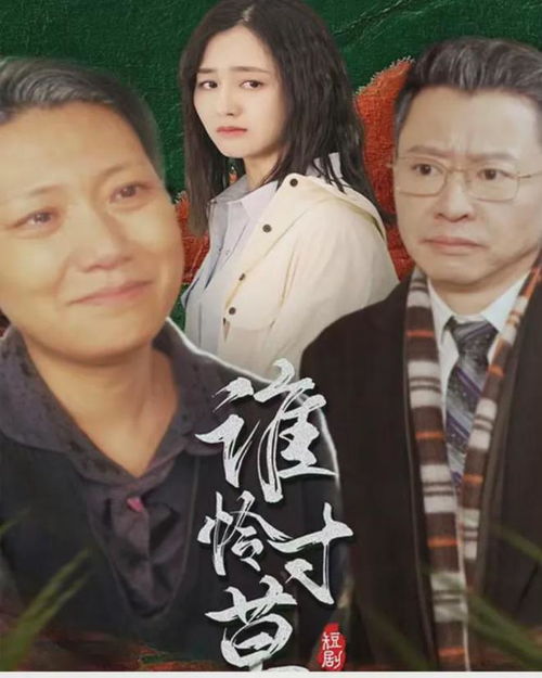 爆款短剧男频热播：爆款短剧男频热播推荐