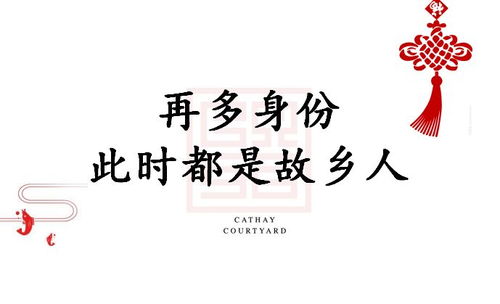 热播短剧游子归乡20集，游子归乡的经典语录