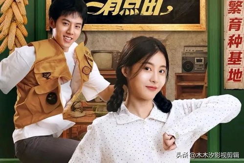 小非凡热播短剧有哪些 - 小非凡了