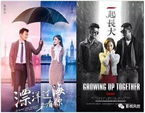 热播短剧情报剧推荐：情报电视剧排名