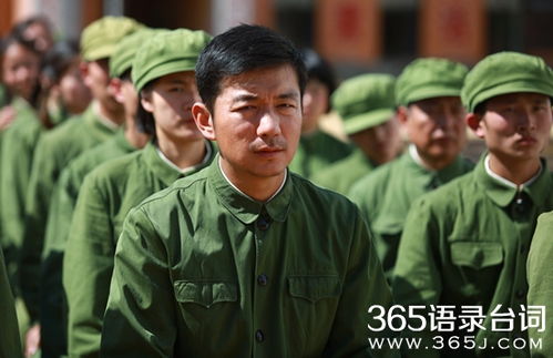 热播短剧赵总督演员表【赵总是哪部电视剧】