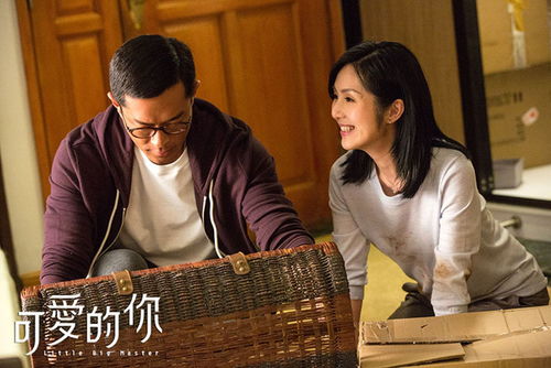 热播短剧游子归家免费观看：游子归家什么意思