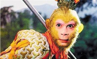 热播短剧万圣龙师28，万圣老龙的驸马是谁