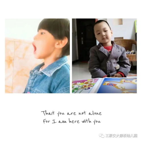 小鑫热播短剧在线观看高清【小鑫视频】