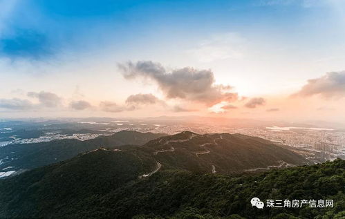 热播短剧排行榜2024最新版：短剧排行榜2021最新