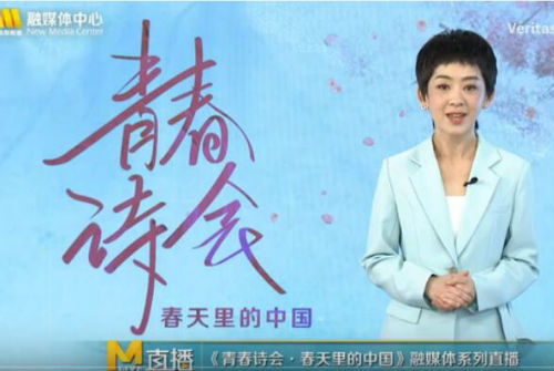 热播短剧主演介绍文案大全，短剧演员
