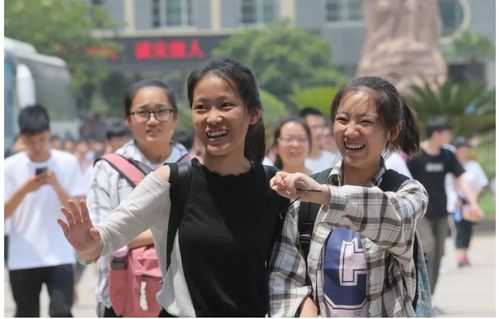 热播剧素材哪里找短剧（短视频电视剧素材）